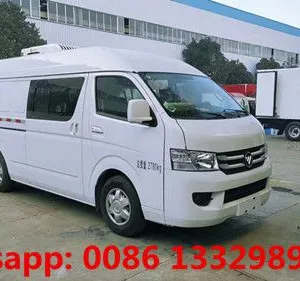 Customized FOTON G7 Double-cab 0.5T Refrigerated Minivan Car for Sale thumbnail-1