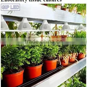 Home Made Led Grow Light LED Grow Lamp 3watt For Growing and Flowering Plant thumbnail-1