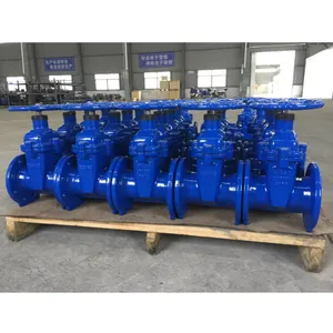 EN 1092 DIN Standard PN16 Cast Iron Soft Seal Flange Gate Valve Manual Gate Valve Ductile Iron GG25 GGG40 Gate Valve thumbnail-6