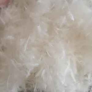 Feather and Down thumbnail-2