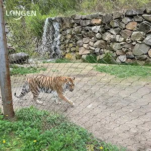 Zoo Tiger Enclosure Mesh