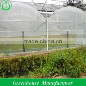 JP Manufacturer Aeroponic Greenhouse thumbnail-1
