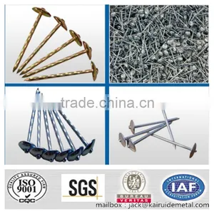 Galvanized Roofing Nail thumbnail-1