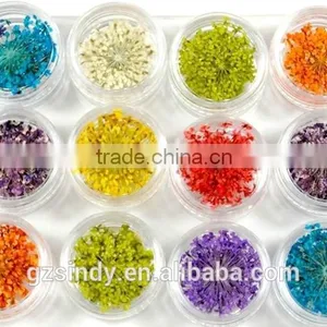 Hot Sell Nail Art Natural Dried Flowers for Nail Art Decoration,nail Accessory ZX:GH748 thumbnail-1
