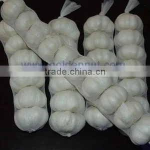 Garlic thumbnail-1