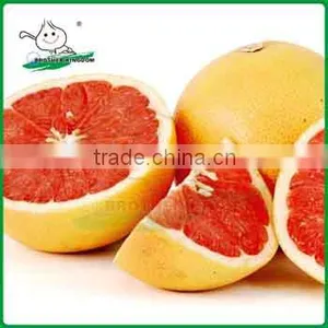New Crop Fresh Red Honey Pomelo Fruit thumbnail-1