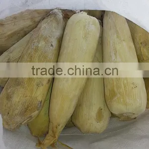 Frozen IQF Whole Sweet Corn and Cob thumbnail-6