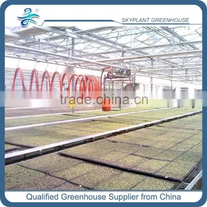 Greenhouse Movable Sprinkler System thumbnail-2