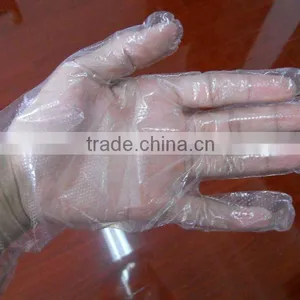 Disposable PE Glove/food Handling Glove/Polyethylene Glove thumbnail-1