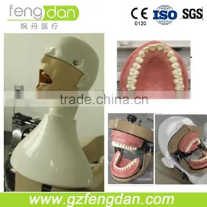 Dental Supply High Quality a Advanced Dental Manikin thumbnail-1