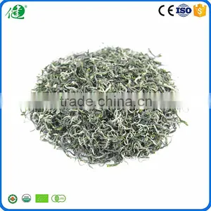 Best Green Tea Brands as Healthy Organic Green Tea thumbnail-2