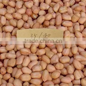 Raw Peanut Kernel for Sale thumbnail-2