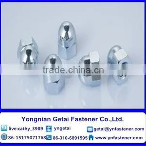 DIN 1587/DIN 917 Hexagon/Flange Cap Nuts M3-M24 Galvanized thumbnail-5