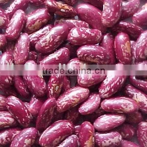 Red Speckled Kidney Bean/purple Speckled Kidney Bean thumbnail-1