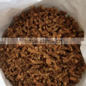 Galangal Root 766 thumbnail-1
