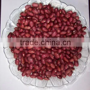 Chinese Red Kidney Bean Original Wholesales Price thumbnail-6