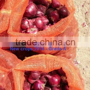 ONION SIZES ( 40 - 60 - 50 - 70 - 60 - 80 - up to 100 mm ) thumbnail-6