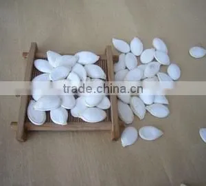Sunshie White Pumpkin Seeds on Urgent Sale thumbnail-1