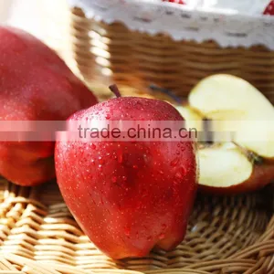 Fresh Apple Fruit for Sale Apple Fruit Fresh Price for Fresh Apple thumbnail-3