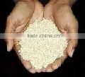 Sesame Seeds thumbnail-2
