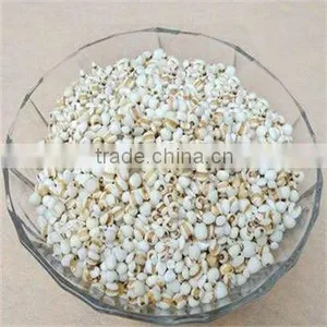 Organic Coix Seed/Hairdressing Food thumbnail-1