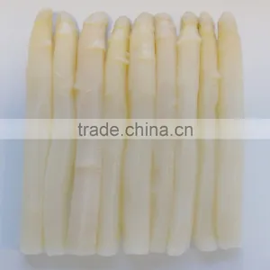 Canned Green Asparagus thumbnail-5