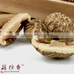 Hot Sell Dehydrated Shiitake Mushroom thumbnail-2