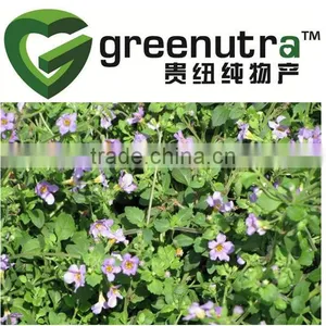 Bacopa Monniera Extract thumbnail-1