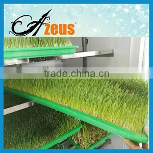 Electric Barley Sprout Machine Barley Grass Growing Machine thumbnail-1