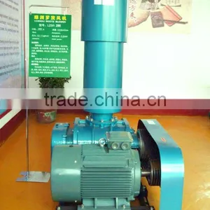 Vacuum Packaging Roots Blower thumbnail-1