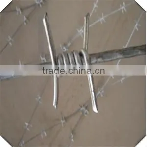 High Quality Antique Barbed Wire for Sale / 12#*14# Galvanized Barbed Wire thumbnail-1