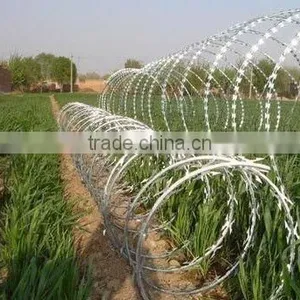 Hot Dipped Galvanized Razor Blade Wire thumbnail-4