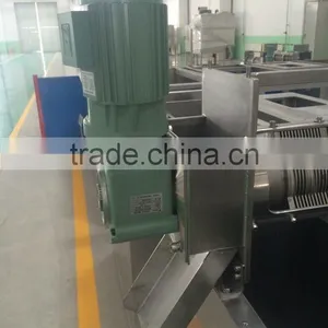 High-end Technology Joint Venture Sludge Dewatering Machine Dewatered Sludge Transfer Pump thumbnail-4
