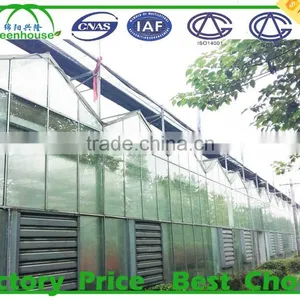 High Light Transmission Multi-span Glass Greenhouse thumbnail-1