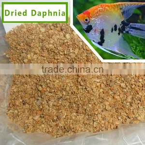 Freeze Dried Daphnia Fish Feed thumbnail-1