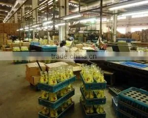 Shanghai Orient Glassware Inc. company overview - view 2 thumbnail
