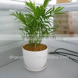 Indoor Flower Pot Stand thumbnail-1