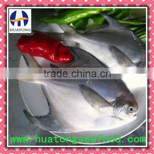 100-150g Silver Pomfret Seafood thumbnail-1
