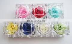 Hot Sale Long Lasting Preserved Flower Ring Box For Valentine's Day Gift thumbnail-4