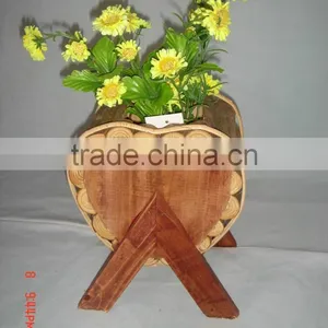 Bird Nest thumbnail-1