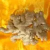 Ginger thumbnail-3