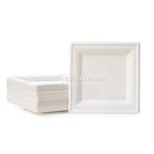 Biodegradable Disposable Square Plates Sugarcane Bagasse Fiber Plate Compostable Plates thumbnail-1