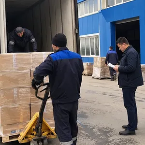 China nach Kasachstan DDP LKW-Transport für gewerbliche Fracht thumbnail-5