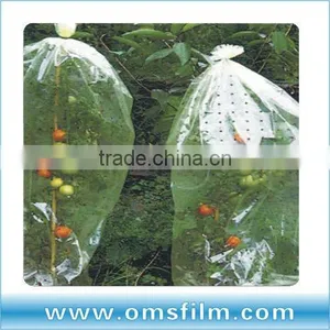 Tomato Protection Plastic Tube Bag thumbnail-1