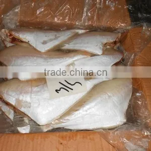 FROZEN LEATHER JACKET FISH thumbnail-4