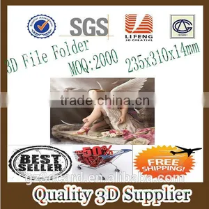 Guangzhou Lifeng 3d Leather Folder,PP Paper Folder,color ASSORTED 3d File Folder thumbnail-1