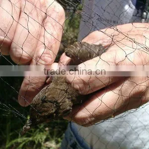 Extruded Plastic Bird Netting thumbnail-1