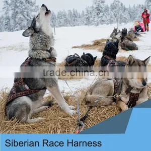 Wholesale Siberian Race Harness thumbnail-1