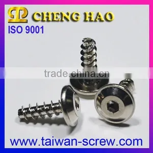 Self Tapping Stainless Steel Screws for Plastic OEM thumbnail-3