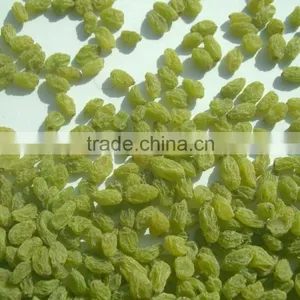 Dry Grapes thumbnail-1